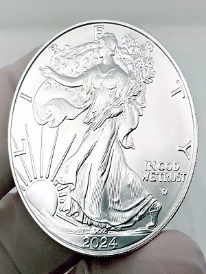 Beautiful 2024 1 Ounce Silver Coin