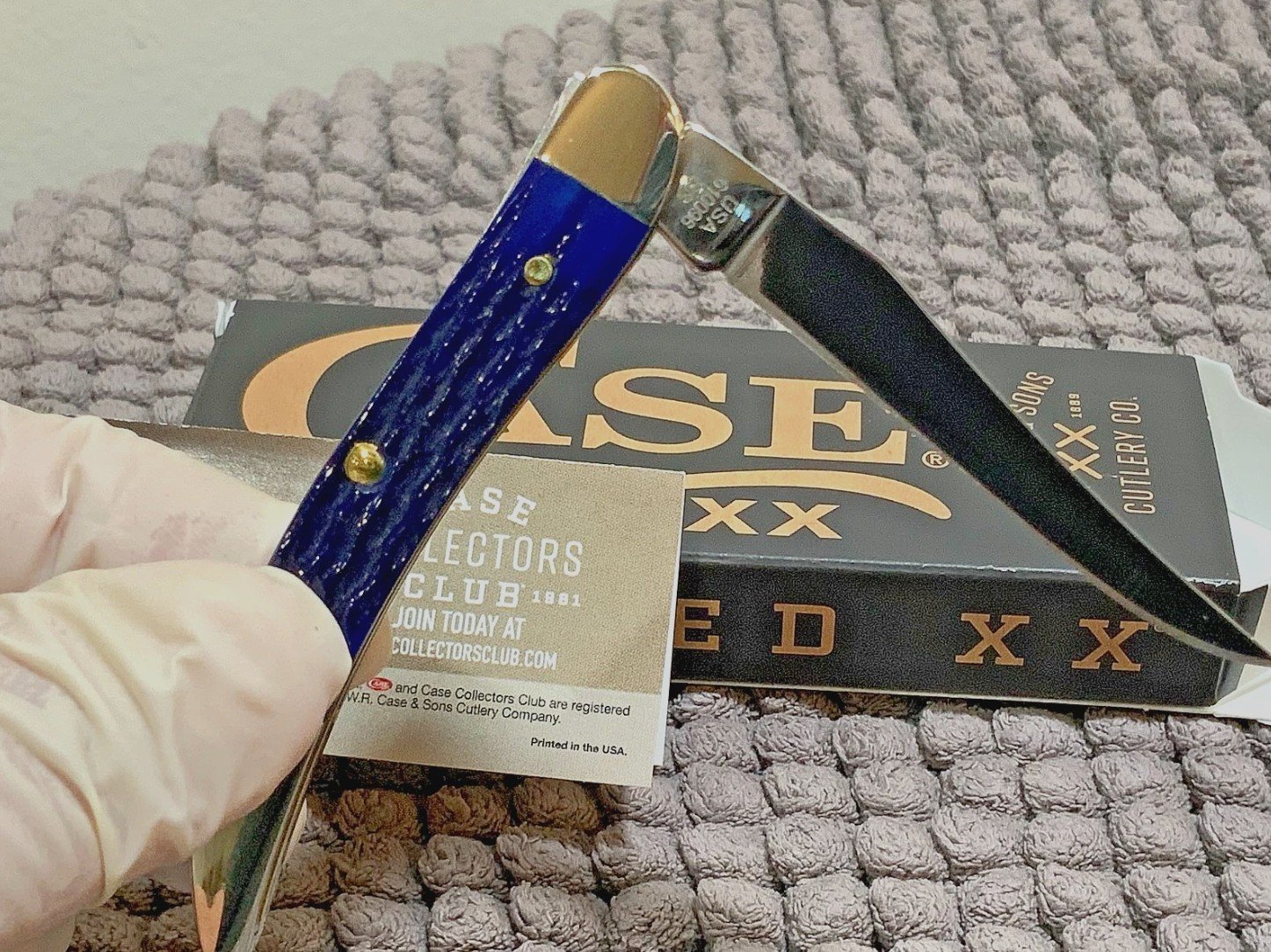 CASE Small Texas Toothpick (2804) Navy Blue Bone Handle Pocket Knife - Image 2
