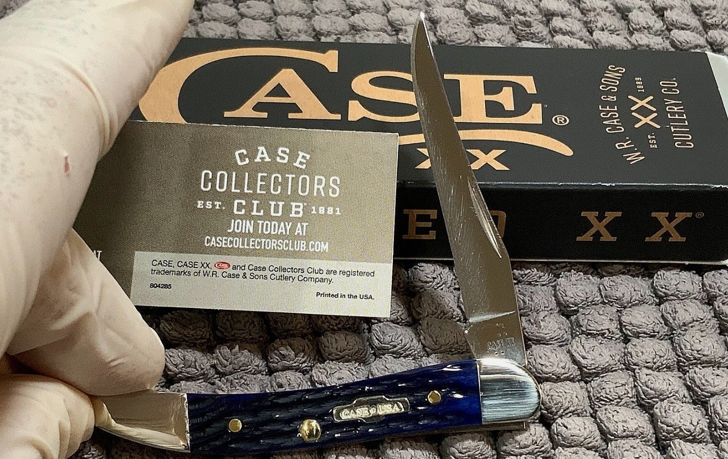 CASE Small Texas Toothpick (2804) Navy Blue Bone Handle Pocket Knife - Image 3